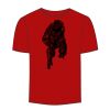 Adult Stars & Stripes T-Shirt Thumbnail
