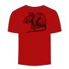 Adult Stars & Stripes T-Shirt Thumbnail