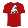 Adult Stars & Stripes T-Shirt Thumbnail