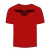 Adult Stars & Stripes T-Shirt Thumbnail
