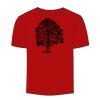 Adult Stars & Stripes T-Shirt Thumbnail