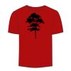 Adult Stars & Stripes T-Shirt Thumbnail
