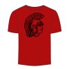 Adult Stars & Stripes T-Shirt Thumbnail