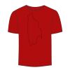 Adult Stars & Stripes T-Shirt Thumbnail