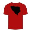 Adult Stars & Stripes T-Shirt Thumbnail