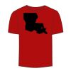 Adult Stars & Stripes T-Shirt Thumbnail