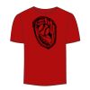 Adult Stars & Stripes T-Shirt Thumbnail