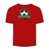 Adult Stars & Stripes T-Shirt Thumbnail