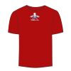 Adult Stars & Stripes T-Shirt Thumbnail