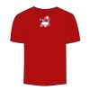 Adult Stars & Stripes T-Shirt Thumbnail