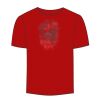 Adult Stars & Stripes T-Shirt Thumbnail