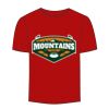 Adult Stars & Stripes T-Shirt Thumbnail