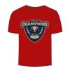 Adult Stars & Stripes T-Shirt Thumbnail