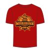 Adult Stars & Stripes T-Shirt Thumbnail