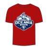 Adult Stars & Stripes T-Shirt Thumbnail