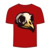 Adult Stars & Stripes T-Shirt Thumbnail