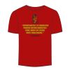 Adult Stars & Stripes T-Shirt Thumbnail