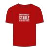 Adult Stars & Stripes T-Shirt Thumbnail