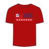 Adult Stars & Stripes T-Shirt Thumbnail