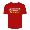 Adult Stars & Stripes T-Shirt Thumbnail