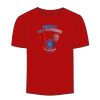 Adult Stars & Stripes T-Shirt Thumbnail