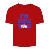 Adult Stars & Stripes T-Shirt Thumbnail