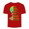 Adult Stars & Stripes T-Shirt Thumbnail