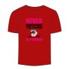 Adult Stars & Stripes T-Shirt Thumbnail