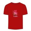 Adult Stars & Stripes T-Shirt Thumbnail