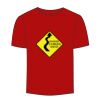 Adult Stars & Stripes T-Shirt Thumbnail