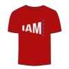Adult Stars & Stripes T-Shirt Thumbnail