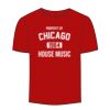 Adult Stars & Stripes T-Shirt Thumbnail