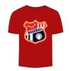 Adult Stars & Stripes T-Shirt Thumbnail