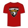 Adult Stars & Stripes T-Shirt Thumbnail