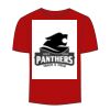 Adult Stars & Stripes T-Shirt Thumbnail