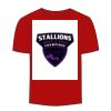Adult Stars & Stripes T-Shirt Thumbnail