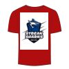 Adult Stars & Stripes T-Shirt Thumbnail