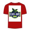 Adult Stars & Stripes T-Shirt Thumbnail