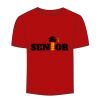 Adult Stars & Stripes T-Shirt Thumbnail