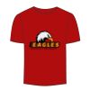 Adult Stars & Stripes T-Shirt Thumbnail