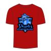 Adult Stars & Stripes T-Shirt Thumbnail