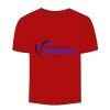 Adult Stars & Stripes T-Shirt Thumbnail