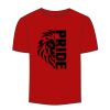 Adult Stars & Stripes T-Shirt Thumbnail