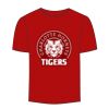 Adult Stars & Stripes T-Shirt Thumbnail