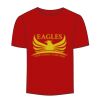 Adult Stars & Stripes T-Shirt Thumbnail