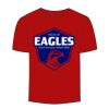 Adult Stars & Stripes T-Shirt Thumbnail