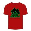 Adult Stars & Stripes T-Shirt Thumbnail