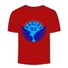 Adult Stars & Stripes T-Shirt Thumbnail