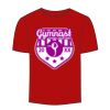 Adult Stars & Stripes T-Shirt Thumbnail