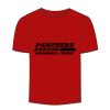Adult Stars & Stripes T-Shirt Thumbnail